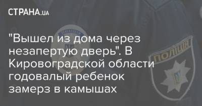 "Вышел из дома через незапертую дверь". В Кировоградской области годовалый ребенок замерз в камышах - strana.ua - Кировоградская обл.