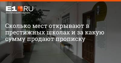 Артем Устюжанин - Сколько мест открывают в престижных школах и за какую сумму продают прописку - e1.ru - Екатеринбург