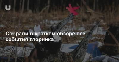 «Галасы» на «Евровидении», КГБ и «угрозы», демарш трансплантолога и сбежавший таксист — все за вчера - news.tut.by