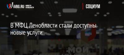 В МФЦ Ленобласти стали доступны новые услуги - ivbg.ru - Ленинградская обл.