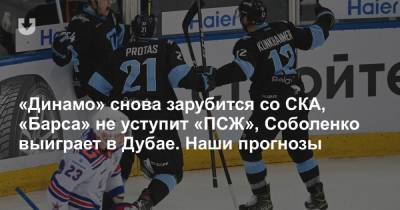 Арина Соболенко - «Динамо» снова зарубится со СКА, «Барса» не уступит «ПСЖ», Соболенко выиграет в Дубае. Наши прогнозы - news.tut.by - Санкт-Петербург - Минск