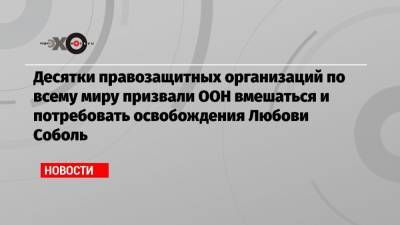 Любовь Соболь - Десятки правозащитных организаций по всему миру призвали ООН вмешаться и потребовать освобождения Любови Соболь - echo.msk.ru