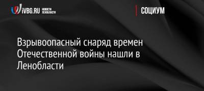 Взрывоопасный снаряд времен Отечественной войны нашли в Ленобласти - ivbg.ru - Россия - Ленинградская обл. - р-н Кировский