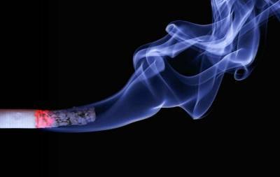 Доля нелегальных сигарет на рынке России из-за повышения акцизов может вырасти до 30% - live24.ru - Москва