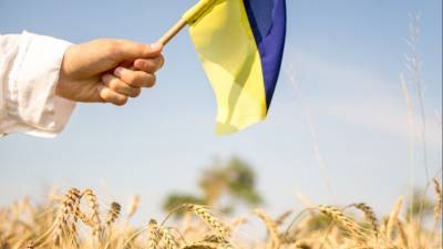 Полная деградация: Украина может лишиться главного национального достояния - 5-tv.ru