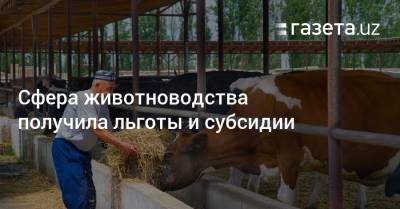 Сфера животноводства получила льготы и субсидии - gazeta.uz - Узбекистан
