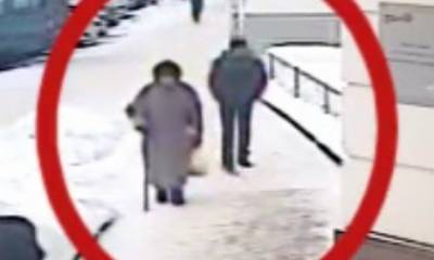 В Карелии пенсионерка на улице отбилась от грабителя - gubdaily.ru - Сегежа - республика Карелия