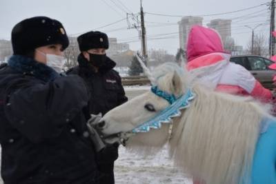 В Иванове взялись за конезаводчиков, оказывающих услуги по катанию детворы на лошадках - mkivanovo.ru