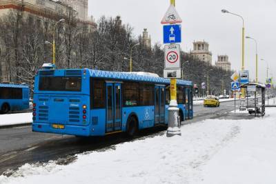 Около 15 км выделенок организуют в столице в этом году - m24.ru - Москва