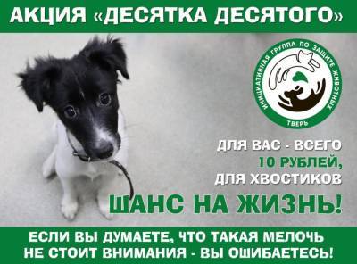 Акция «Десятка десятого» в помощь животным проходит в Твери - afanasy.biz - Тверь - Тверская обл.