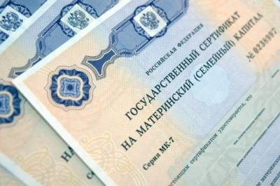Антон Котяков - Материнский капитал в 2020 году получили 1,2 млн российских семей - aif.ru