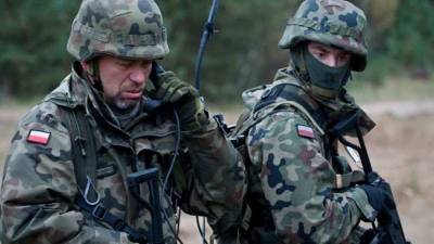 Иван Филипоненко - Повторение 2014 года: польские и литовские наёмники вернулись в Донбасс - newdaynews.ru - Киев - ЛНР