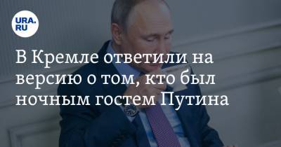 Владимир Путин - Дмитрий Песков - Франсуа Фийон - В Кремле ответили на версию о том, кто был ночным гостем Путина - ura.news