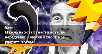 Мужчина хотел спасти кота, но передумал. Кошачий хвост мог ударить током - ridus.ru - Сингапур
