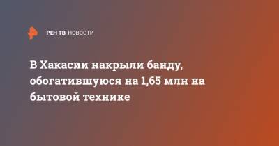 В Хакасии накрыли банду, обогатившуюся на 1,65 млн на бытовой технике - ren.tv - респ. Хакасия