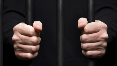 Плантацию каннабиса на 5,8 млн долларов обнаружили на юго-востоке Австралии - inforeactor.ru - Австралия