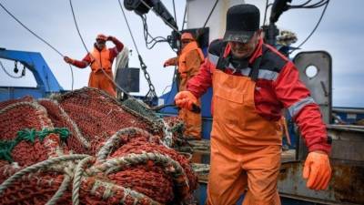 Сергей Лесков - Мы это не едим: жадные рыбаки выбрасывают на берег тонны промысловой рыбы - 5-tv.ru - Дальний Восток - Торговля