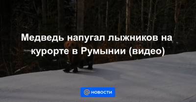 Екатерина Гура - Медведь напугал лыжников на курорте в Румынии (видео) - news.mail.ru - Румыния