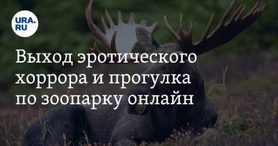 Выход эротического хоррора и прогулка по зоопарку онлайн - ura.news - Сан-Диего