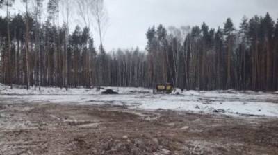 На территории будущего кладбища в Пензе спилили деревья - penzainform.ru - Пенза - Строительство
