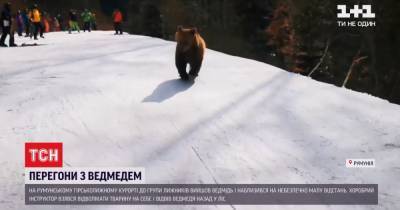 Медведь вышел из леса и напугал лыжников на горнолыжном курорте в Румынии - tsn.ua - Румыния