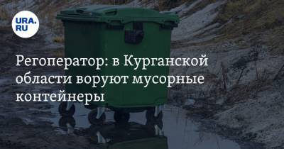 Регоператор: в Курганской области воруют мусорные контейнеры - ura.news - Курганская обл.