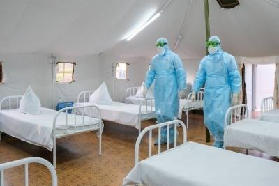 В Волгоградской области 6 человек скончались от коронавируса за сутки - volg.mk.ru - Волгоград - Волгоградская обл.