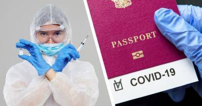 Испания планирует внедрить электронные паспорта вакцинации к середине мая, - министр - focus.ua - Испания