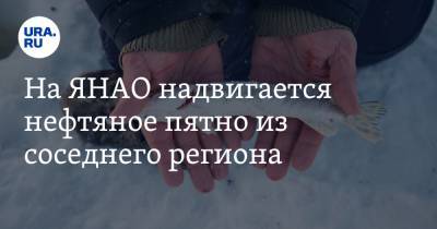 На ЯНАО надвигается нефтяное пятно из соседнего региона. Под угрозой экология региона - ura.news - Югра - окр. Янао