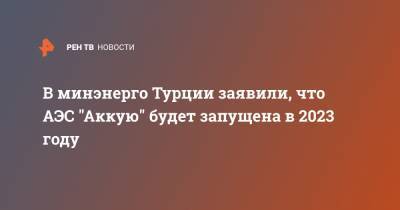 Владимир Путин - Реджеп Тайип Эрдоган - В минэнерго Турции заявили, что АЭС "Аккую" будет запущена в 2023 году - ren.tv - Турция