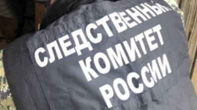 Полиция Иркутска скрутила грабителя, который пять лет назад убил девушку из-за сумки - nation-news.ru - Иркутская обл. - Иркутск - Нижнеудинск