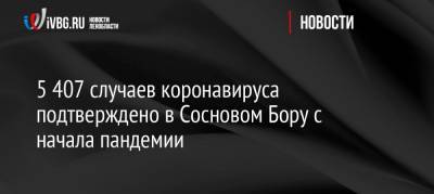 5 407 случаев коронавируса подтверждено в Сосновом Бору с начала пандемии - ivbg.ru - Ленинградская обл.