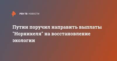 Владимир Путин - Путин поручил направить выплаты "Норникеля" на восстановление экологии - ren.tv - Красноярский край - Норильск