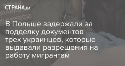 В Польше задержали за подделку документов трех украинцев, которые выдавали разрешения на работу мигрантам - strana.ua - Польша