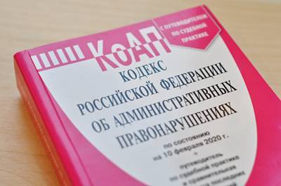 Ирина Яровая - За ложь в интернете о действиях СССР в годы войны предложили штрафы - pnp.ru
