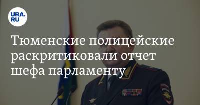 Тюменские полицейские раскритиковали отчет шефа парламенту. Проблема занижена - ura.news - Тюмень
