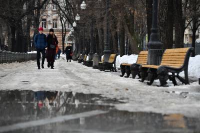 Роман Вильфанд - Синоптики сообщили о потеплении в Москве на 20-25 градусов - m24.ru - Москва