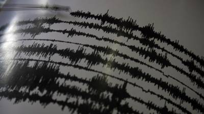 Мария Базарева - Сейсмологи США зафиксировали мощное землетрясение у берегов Королевства Тонга - nation-news.ru - Новая Зеландия - Французская Полинезия - Тонга