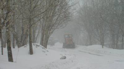 Роман Вильфанда - В Гидрометцентре предупредили об аномальном похолодании - vesti.ru - Башкирия - Краснодарский край - респ. Чувашия - Нижегородская обл. - Кемеровская обл. - ЦФО - Алтайский край - Кировская обл. - Пермский край - окр.Ненецкий - Томская обл. - республика Мордовия