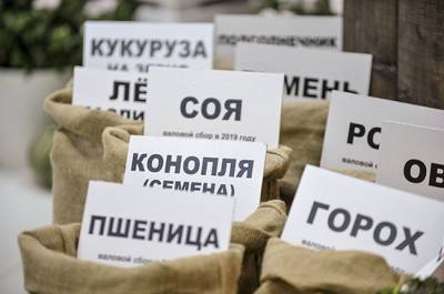 Михаил Мишустин - Минсельхоз и Минобрнауки утвердят «дорожную карту» по развитию отечественного семеноводства - pnp.ru