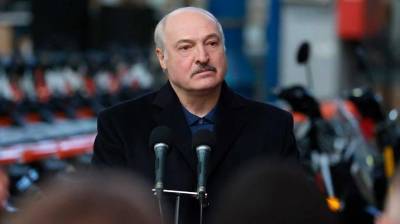 Александр Лукашенко - Лукашенко утратил интерес к Союзному государству после ослабления протестов – эксперт - newzfeed.ru - Минск