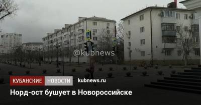 Норд-ост бушует в Новороссийске - kubnews.ru - Сочи - Краснодарский край - Новороссийск