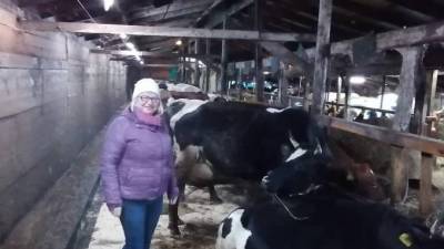 Руководитель АПК Выборгского района Надежда Литвиненко посетила ферму в Каменногорске - piter.tv - Каменногорск