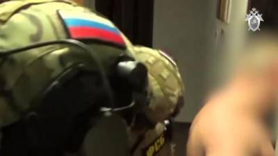 В Новгородской области задержаны 11 человек, подозреваемых в незаконной организации азартных игр - piter.tv - Новгородская обл. - Великий Новгород - Следственный Комитет