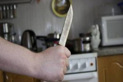 Житель Плесецкого района предстанет перед судом по обвинению в убийстве сестры - arh.mk.ru