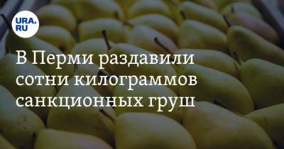 В Перми раздавили сотни килограммов санкционных груш - ura.news - Пермь