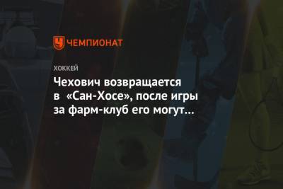 Чехович возвращается в «Сан-Хосе», после игры за фарм-клуб его могут вызвать в основу - championat.com - Москва - Сан-Хосе