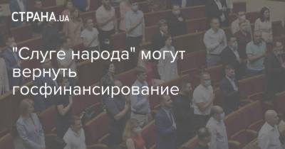 Александр Новиков - "Слуге народа" могут вернуть госфинансирование - strana.ua