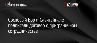 Сосновый Бор и Савитайпале подписали договор о приграничном сотрудничестве - ivbg.ru - Финляндия
