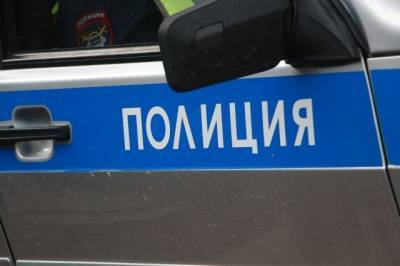 Ирина Волк - В Москве задержан обвиняемый в убийстве, совершенном более 20 лет назад - aif.ru - Москва - респ. Южная Осетия